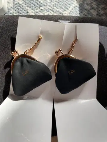 비퍼스트 시크릿 코인 케이스 레오