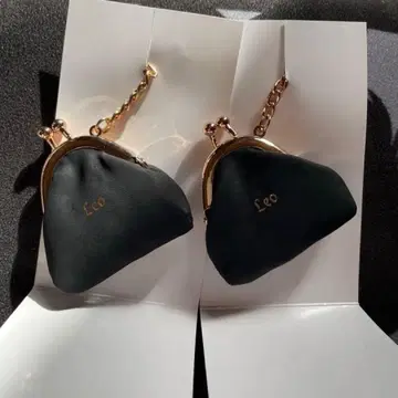 비퍼스트 시크릿 코인 케이스 레오