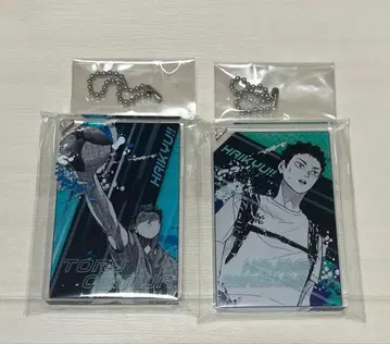 하이큐 도미노풍 아크릴 키링 컬렉션 시크릿 오이카와 이와이즈미