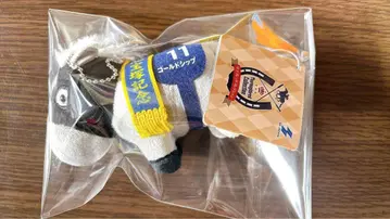 [ 당일 발송 ] 골드십 봉제 인형 GiGO 한정판