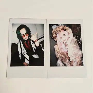 나방과 나비 히로타카 잇시키비요리 폴라로이드 2장 세트
