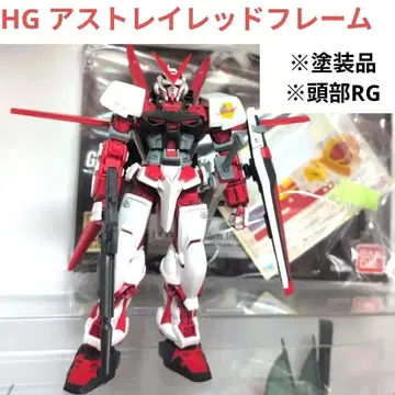 HG 아스트레이 레드 프레임 도색품 머리 RG