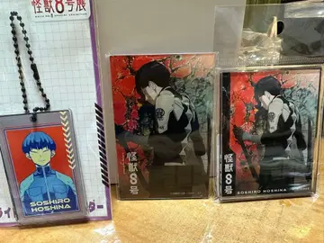 괴수 8호 호시나 소우시로 아크릴 카드 블록