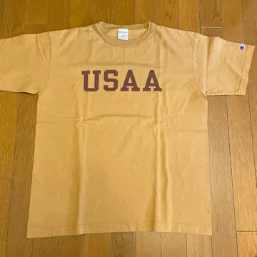 Champion USAA T1011 티셔츠 LARGE 브라운 새상품급