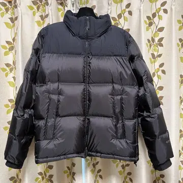 THE NORTH FACE 눕시 GTX 다운 자켓 M