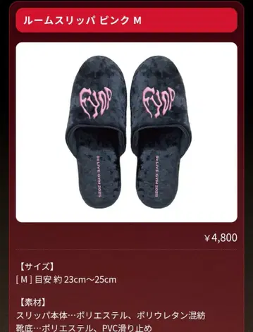 B'z LIVE-GYM 2025 -FYOP- 룸 슬리퍼 M