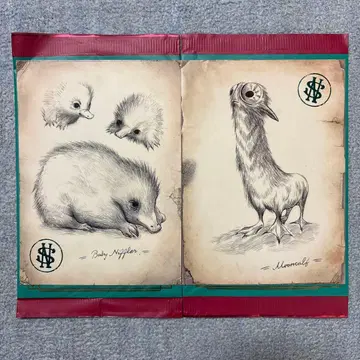 판타비 베이비 니플러 문카프 엽서