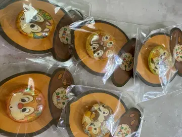 칩과 데일 생일 핀즈 5개 세트