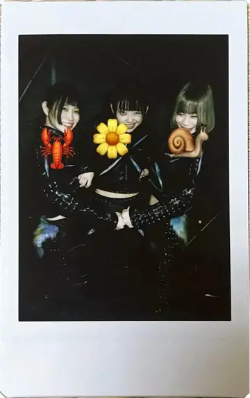 나마에나이 트윈즈 폴라로이드 ASP