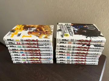 태양의 기바오 W 세트 (13, 14권 제외)