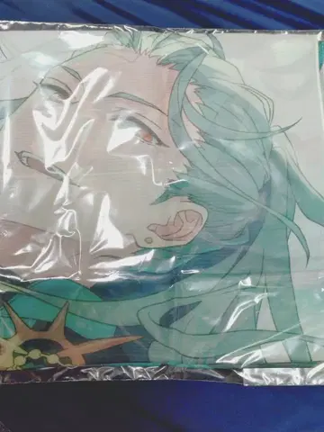 란 나기사 스톨