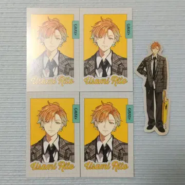 니지산지 GRAY x ACCENT 우사미 리토