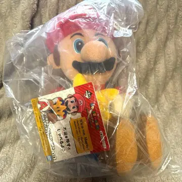 마리오 제일복권 A상