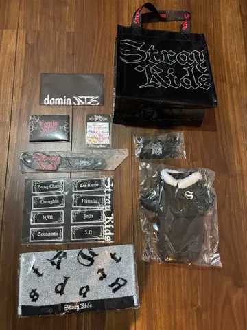 Stray Kids 업그레이드 한정판 굿즈 domin ATE