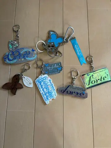 뱅드림! Morfonica 라이브 키링 6세트