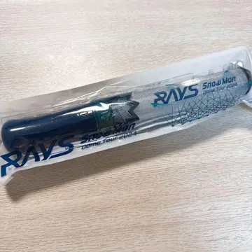 RAYS SnowMan Dome Tour 2024 응원봉