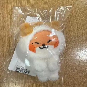 ZB1 zeroni 사진 홀더 튀니니 마슈