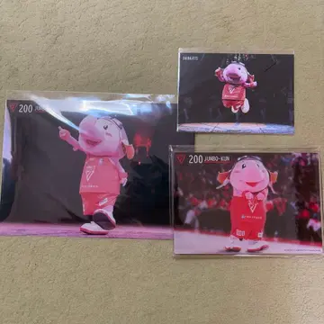 치바 제츠 온라인 복권 B상 점보군