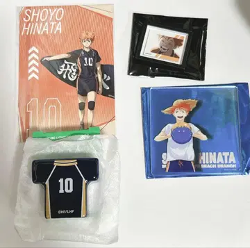 하이큐 히나타 쇼요 4세트 모음