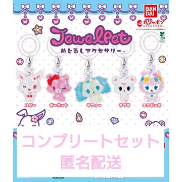 주얼펫 메지루시 액세서리 컴프