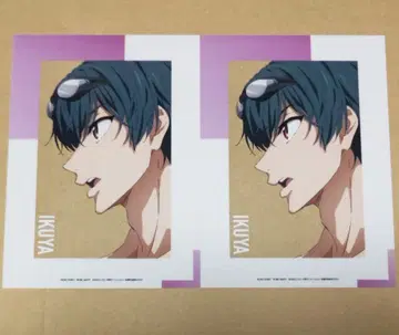 Free! 체인지 자켓 이쿠야 2장 세트 키리시마 이쿠야