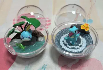 포켓몬 테라리움 와니노코 메타몽 2종 세트