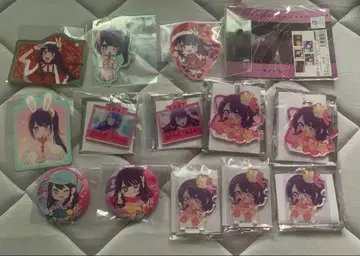 호시노 아이 묶음 판매