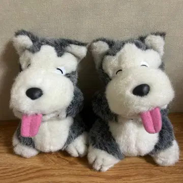 쇼와 레트로 빈티지 피넛 클럽 강아지 봉제 인형 93년 슈나우저