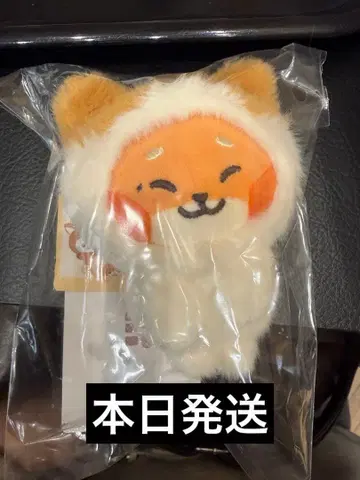 ZB1 zeroni 봉제 인형 마그넷 사진 홀더 튀니니 마슈