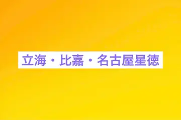신 테니스의 왕자님 릿카이 다이후즈쿠 히가 나고야 세이토쿠 묶음 판매