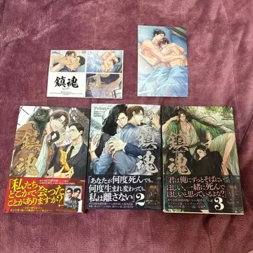 진혼 guardian 묶음 판매