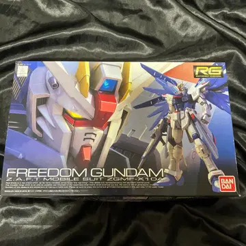 프리덤 건담 RG