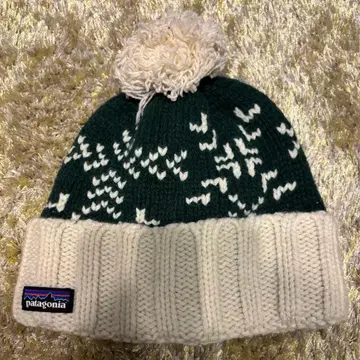 patagonia 니트 캡