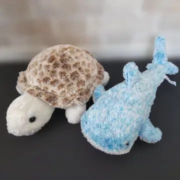 오키나와 봉제 인형 거북이 34cm 진베이 상어 37cm 츄라우미 수족관