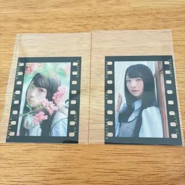 5기생의 포카포카 사진관 랜덤 필름풍 스티커 사토 유우하 2장 세트