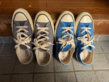 CT70 그레이, 블루 23cm