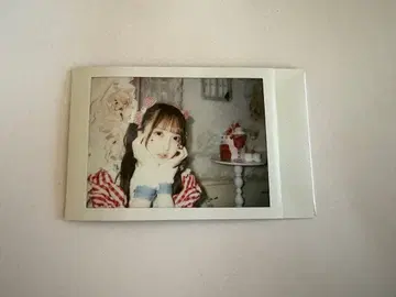 코루네 생탄 폴라로이드