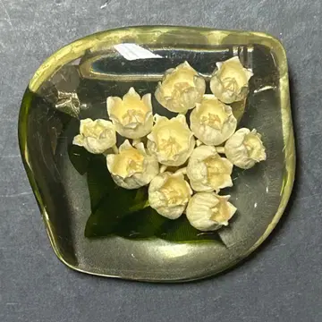 보타니컬 브로치