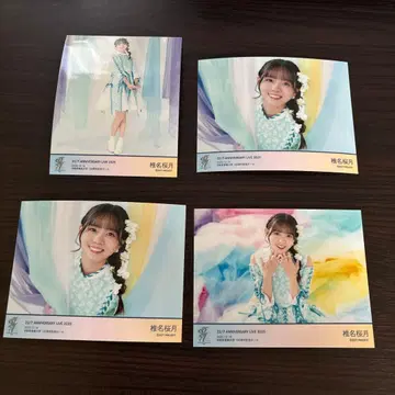 22/7 시이나 사쿠라즈키 브로마이드 아니라 2025 나나니지