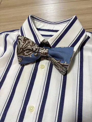 Dress the life 페이즐리 나비 넥타이 이탈리아제