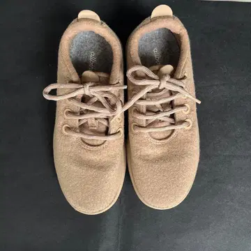 Allbirds 베이지 스니커즈