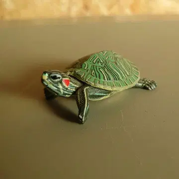 원색 파충류 거북목 도감 미도리가메