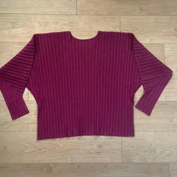 PLAISIR PLEASE 보르도 리브 플리츠 상의 사이즈 3