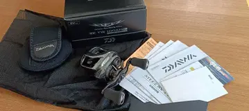 Daiwa 24 스티즈 SV TW 100XHL