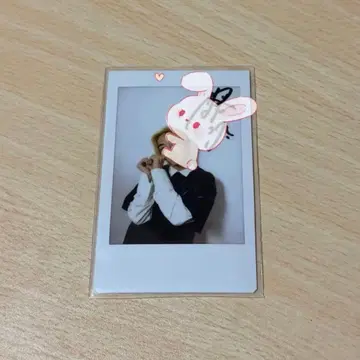 코마키네 아오이 폴라로이드