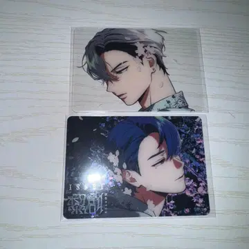 비바 렌 레온 이세이 클리어 카드 vs ambivalenz xlamv