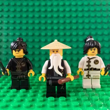 LEGO 닌자고 수련 니야 콜 정품