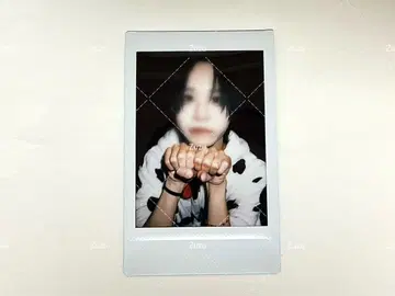 세이브포인트 소매 폴라로이드 개 달마시안