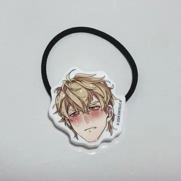 누카니 머리끈 케시