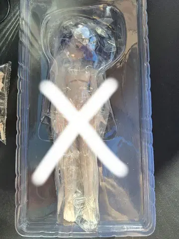 해양보석 MINTY2 민티2 고성 타코 로이빌 바디 외